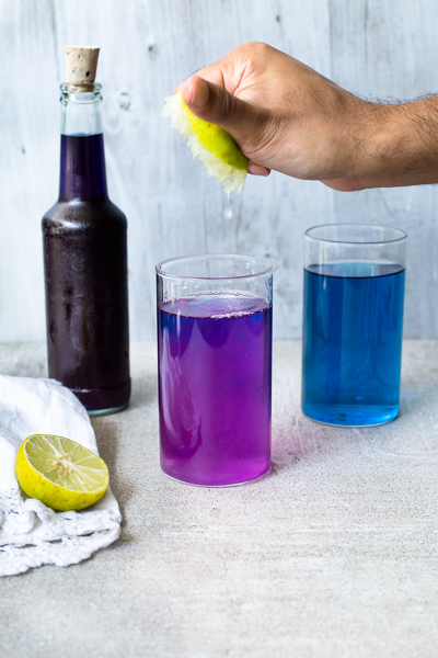 The Blurry Lime  BUTTERFLY PEA FLOWER TEA