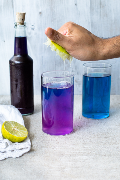 The Blurry Lime  BUTTERFLY PEA FLOWER TEA